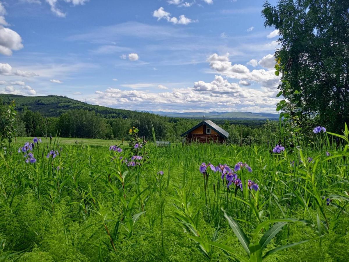 Secluded Log Cabin, 30 Min From Chena Hot Springs Pleasant Valley Exterior foto